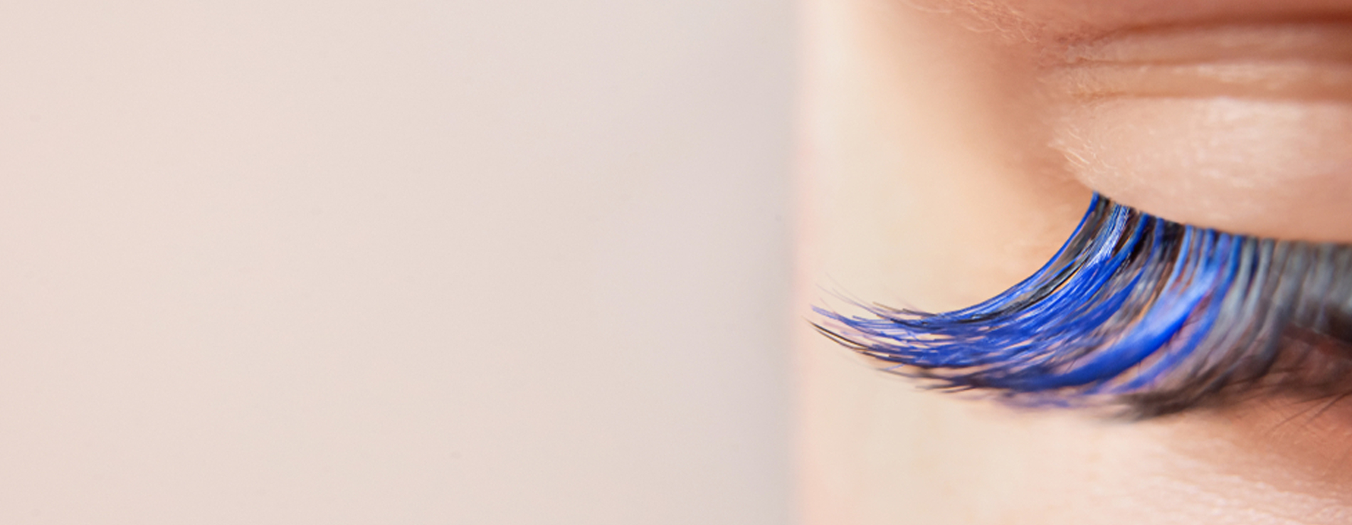 banner-02